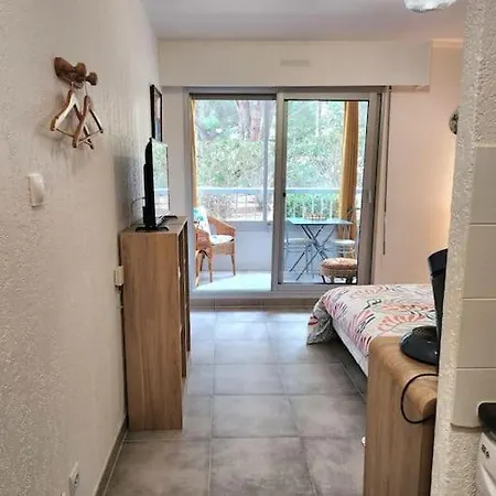 Apartment Joli Studio Renove Dans Station Balneaire. *