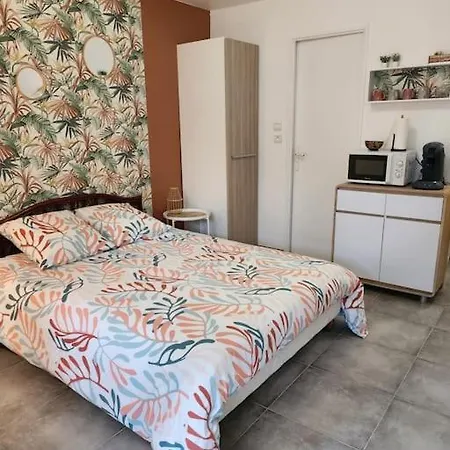 Joli Studio Renove Dans Station Balneaire. דירה סן-מנדרייה-סור-מר