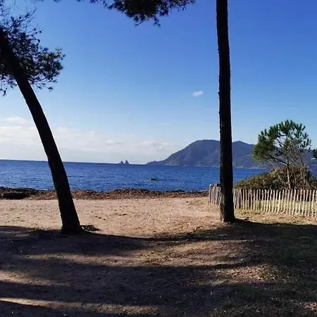 Joli Studio Renove Dans Station Balneaire. סן-מנדרייה-סור-מר