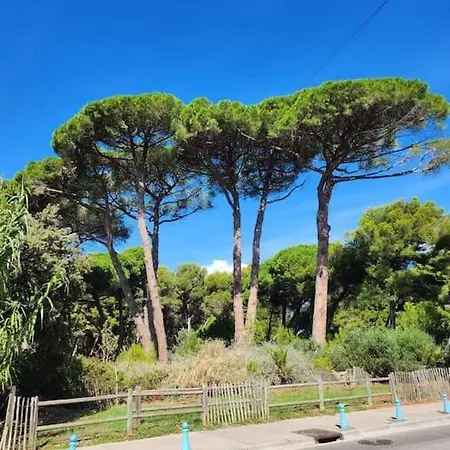 Joli Studio Renove Dans Station Balneaire. * סן-מנדרייה-סור-מר